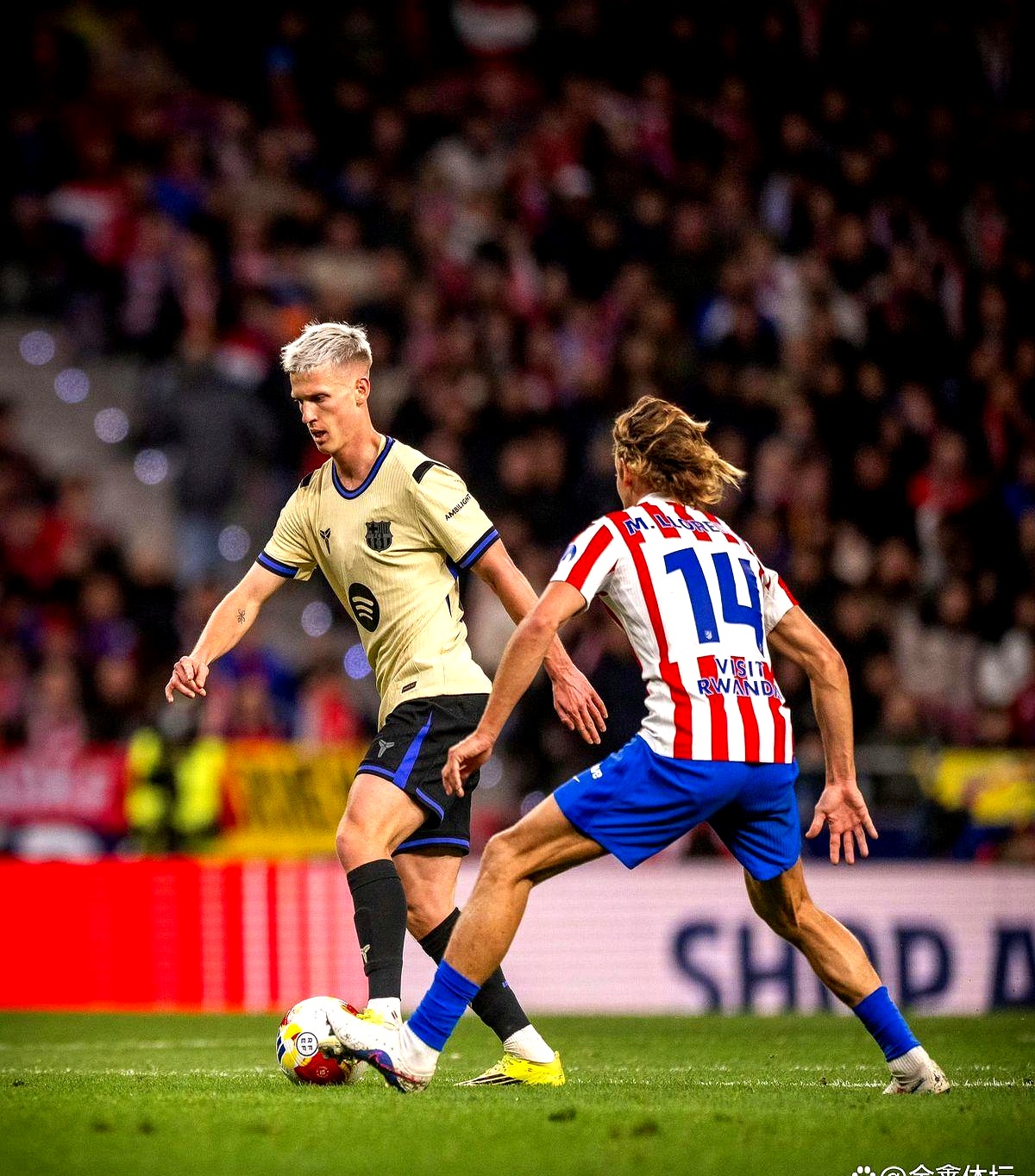 离谱！葡萄牙体育今夜遗憾出局萨克拉门托国王单刀错失备战足总杯，转折点拉齐奥伤情更新